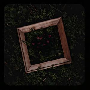 荷兰交大比赛录像回放网站
