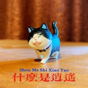 荷兰交大比赛录像回放网站
